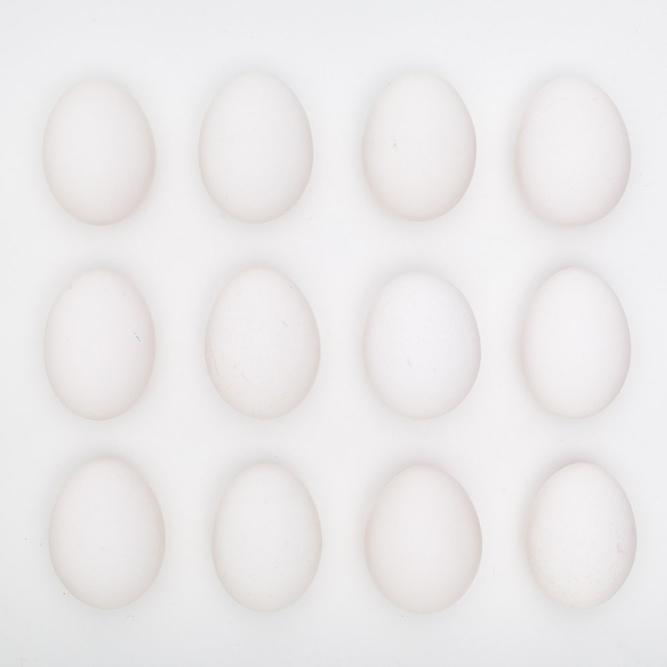 A dozen eggs