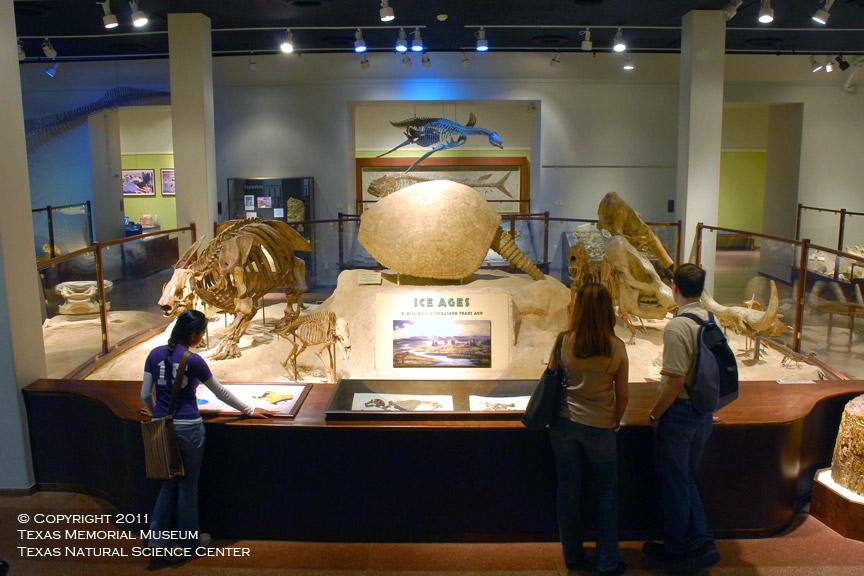 Hall of Geology and Paleontology