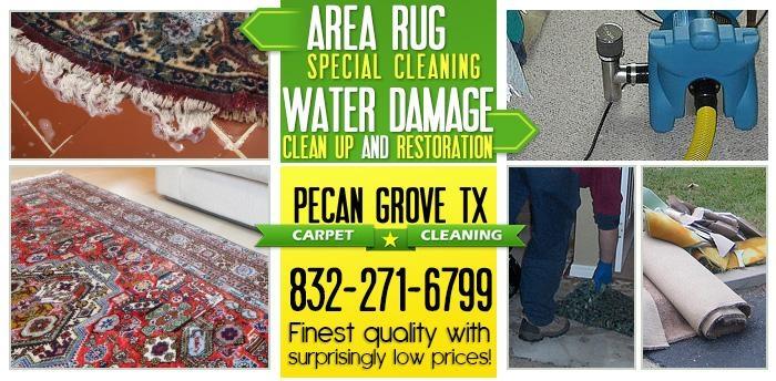 Area Rug Cleaning, Water Damage Restoration