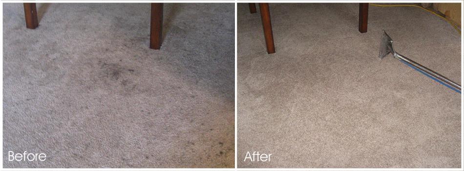 Oakland Carpet Cleaning