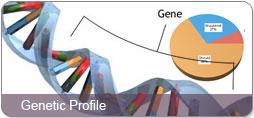 DNA Paternity Testing