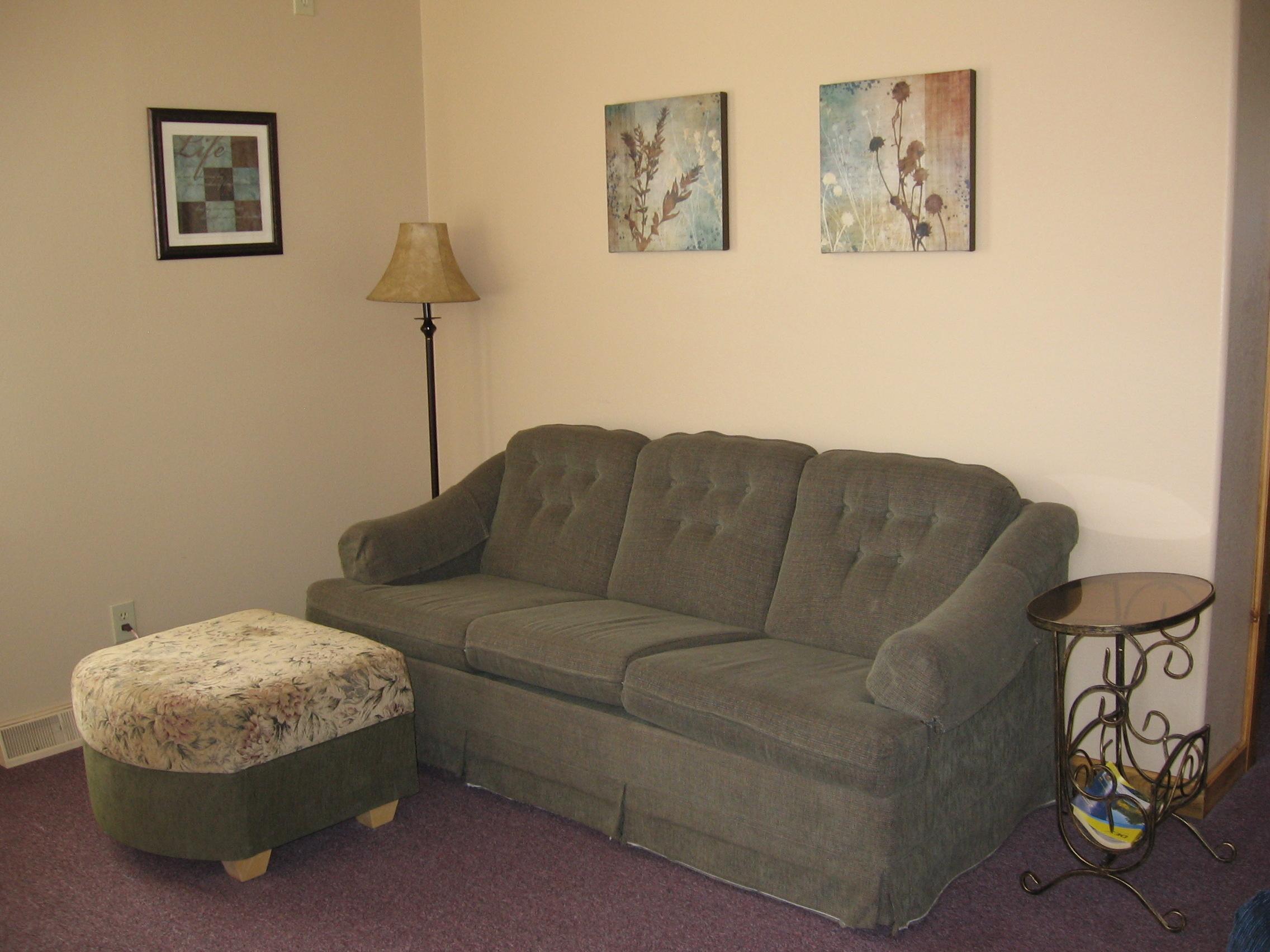 Sleeper Sofa in Apartment for Rent