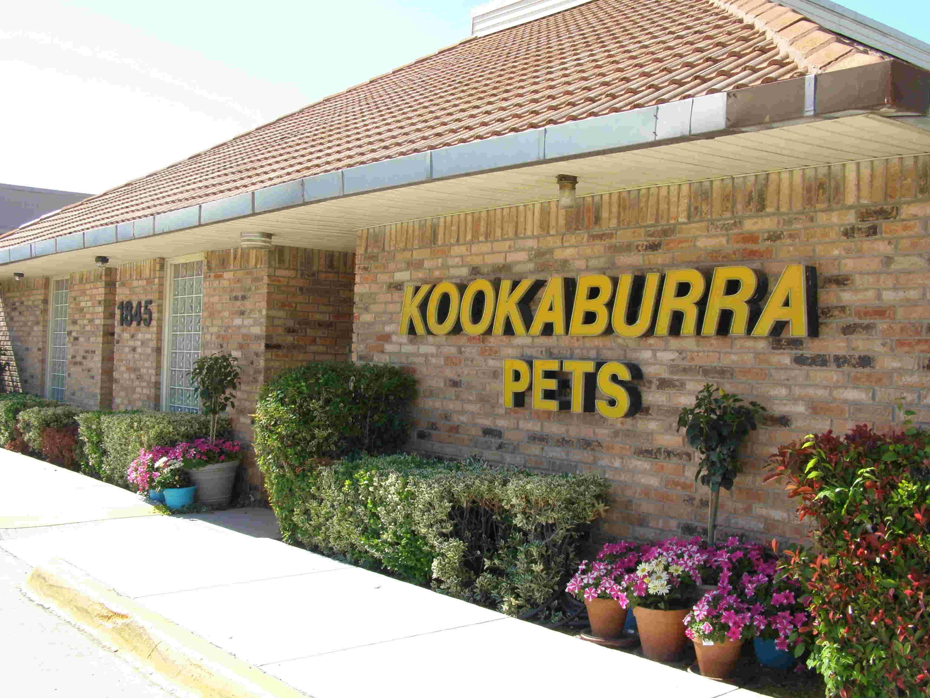 Kookaburra Bird Shop