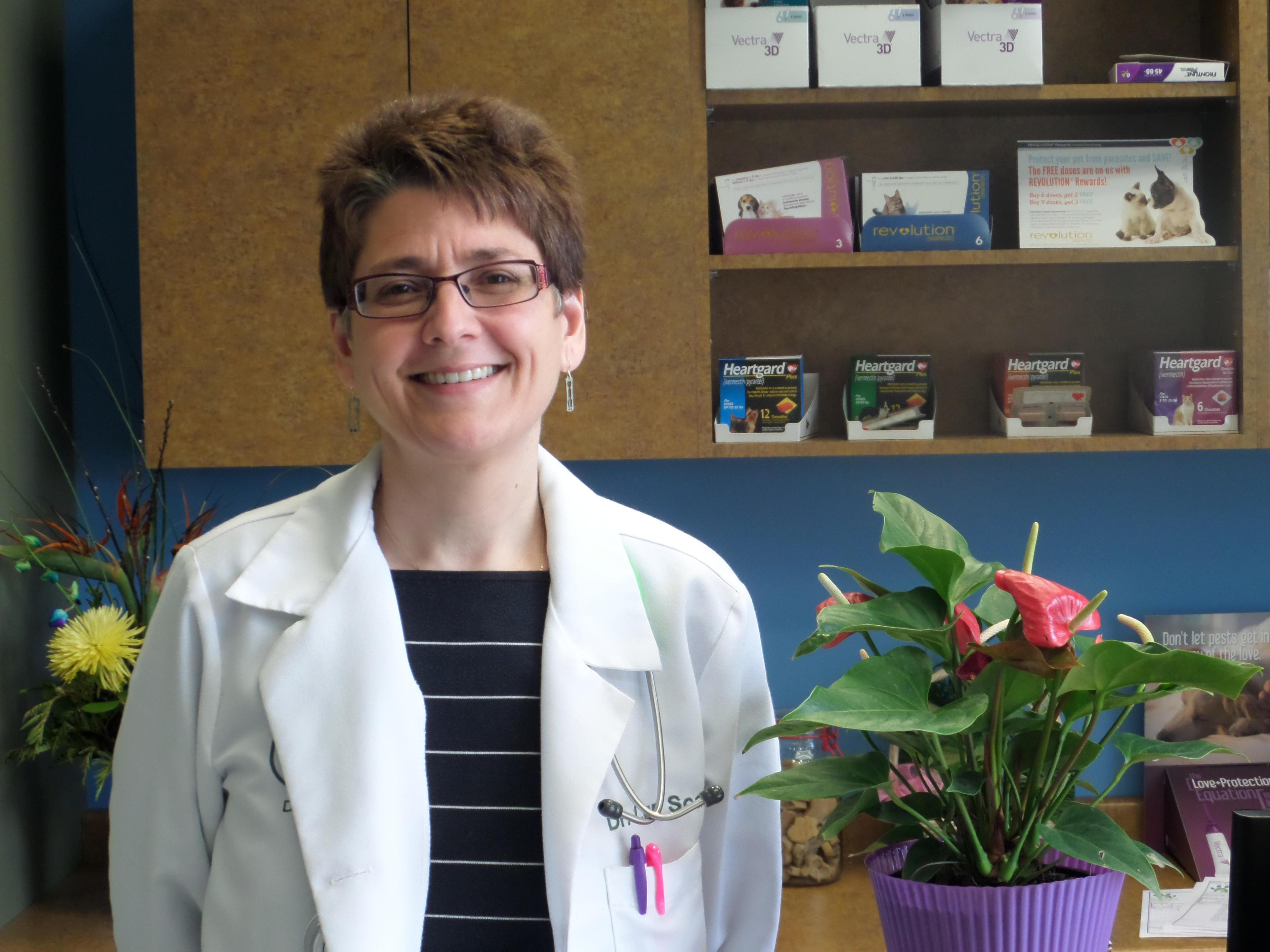 Dr. Lori Scarlett has over 17 years experience with cats and dogs.