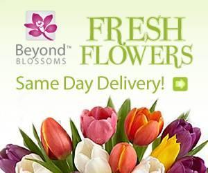 Same Day Flower Delivery