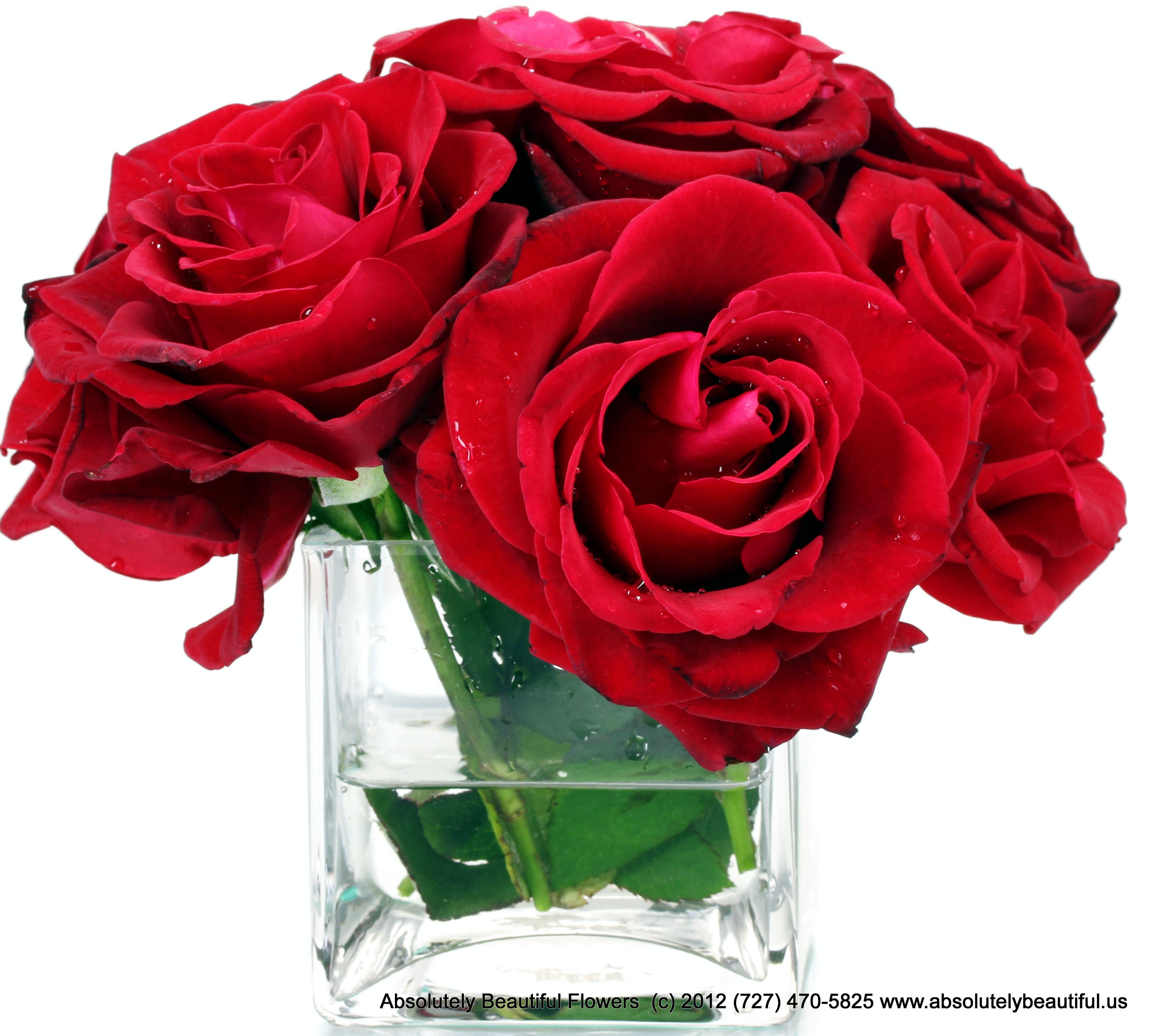 Beautiful red roses in a vase  Absolutely Beautiful Flowers Fresh Collection 574 1st Avenue North St Petersburg FL 33701 (727) 470 5825 http://www.absolutelybeautiful.us $40.00