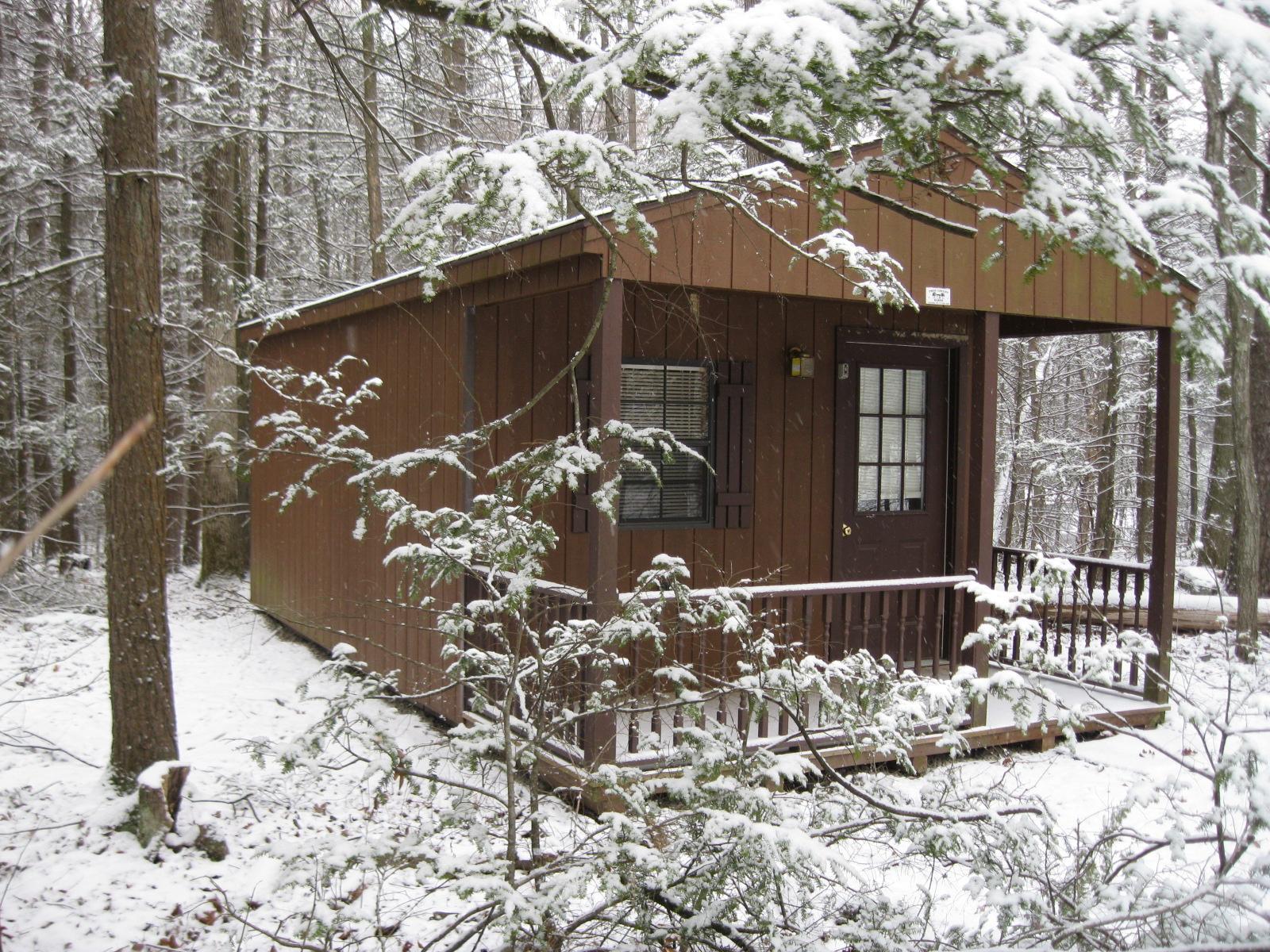 Cabin in the Winter