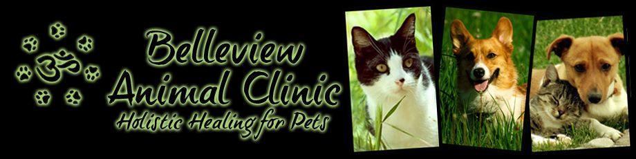 Belleview Animal Clinic