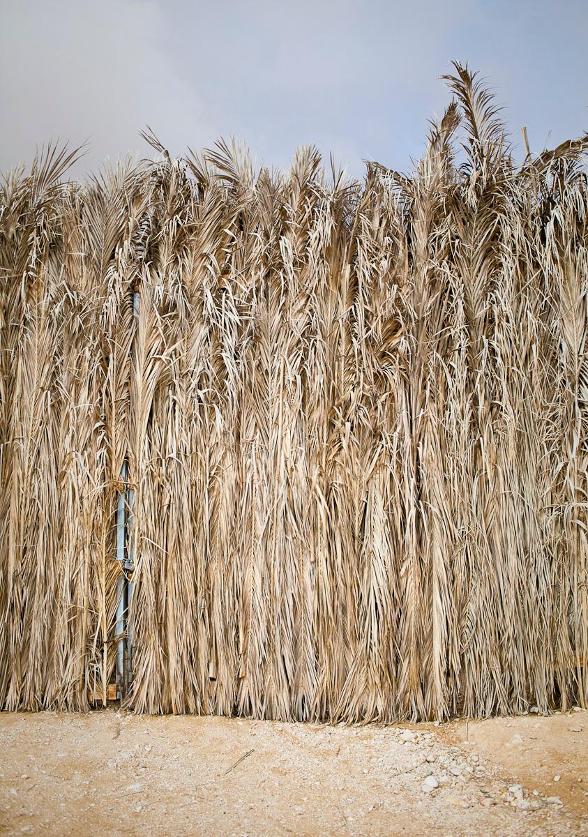 bedouin fence, negev desert, israel