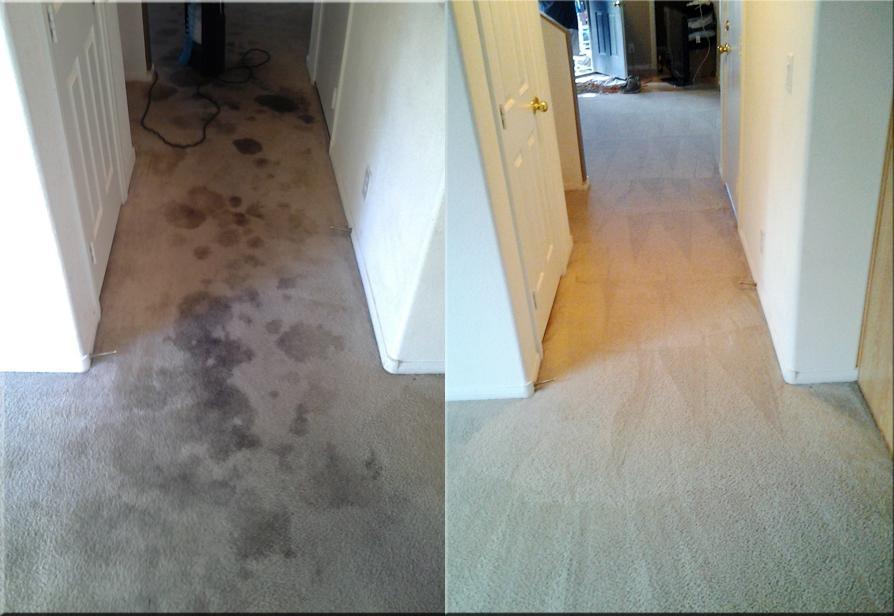 Vegas Carpet Cleaning Pros