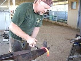 Shoeing cutting horses in Scottsdale, AZ