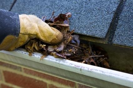 Gutter Cleaning Services