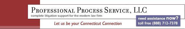 Professional Process Service LLC