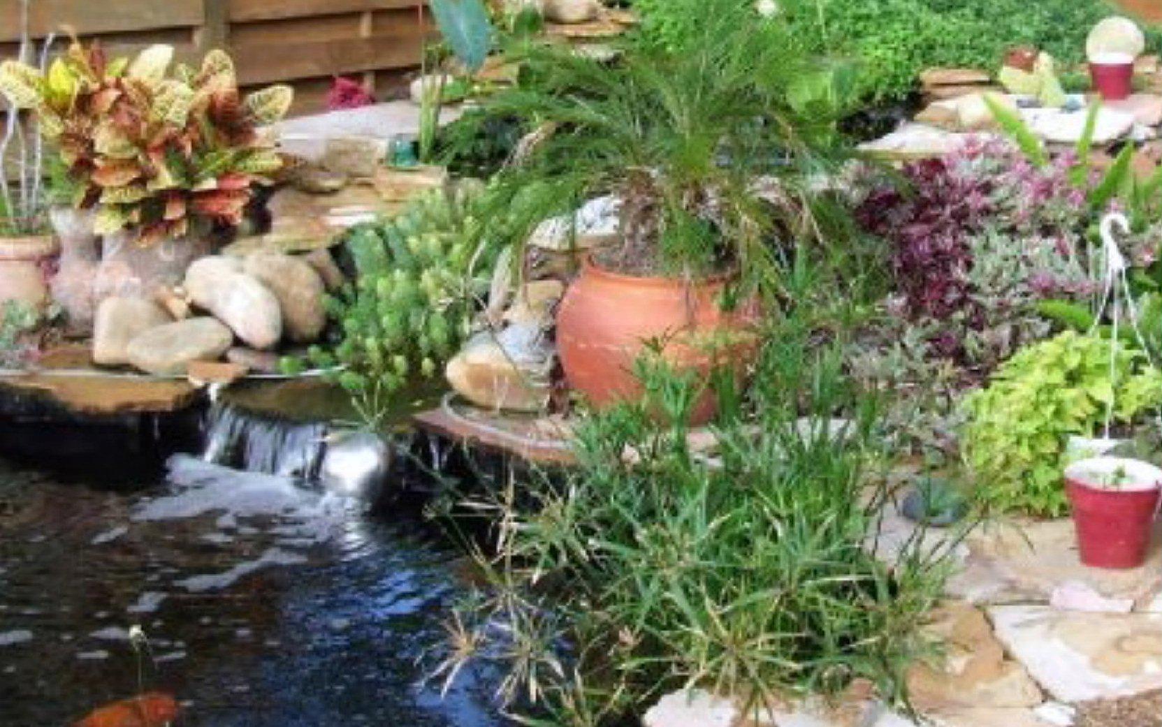 Koi pond with raised plant bog