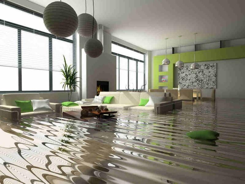 When a disaster strikes, such as pipe leak or flood, it is best to act quickly in order to prevent the possibility of mold growth.