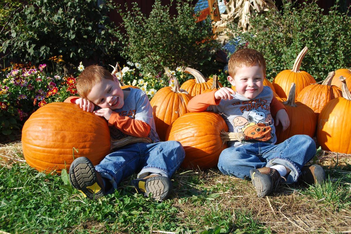 Fall Farm Days