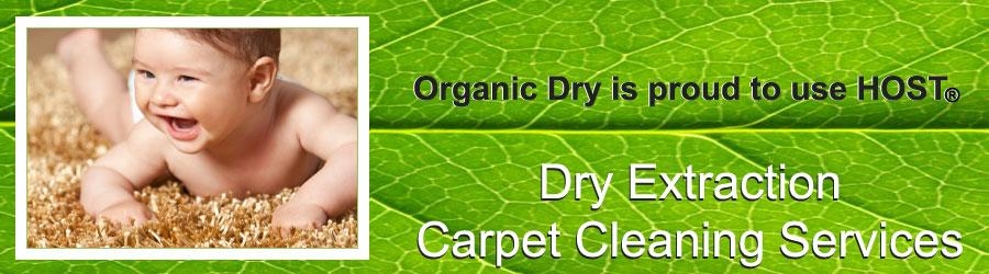 carpet cleaning