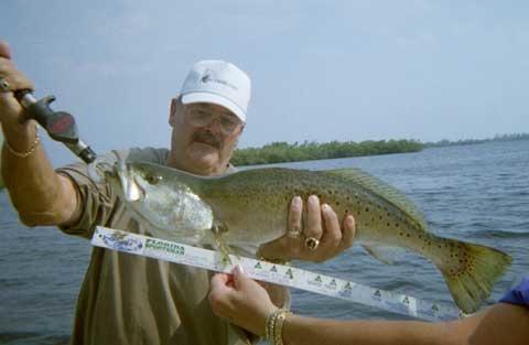 Sea Trout