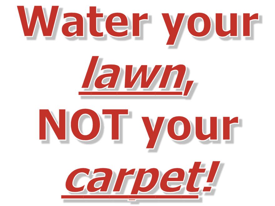 Carpet Cleaning Without Steam Cleaning in Fresno, CA and Clovis, CA