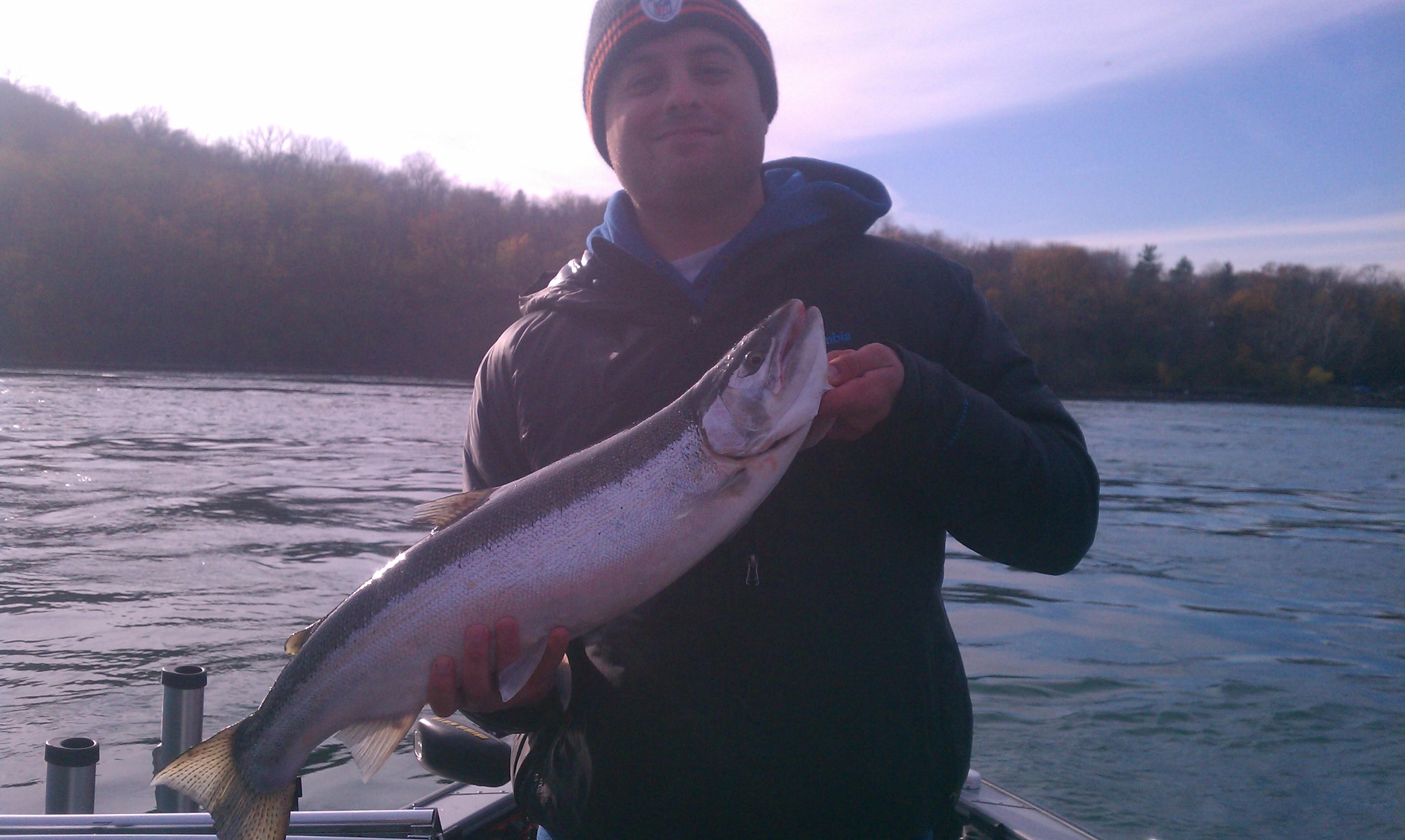 Niagara River Steelhead