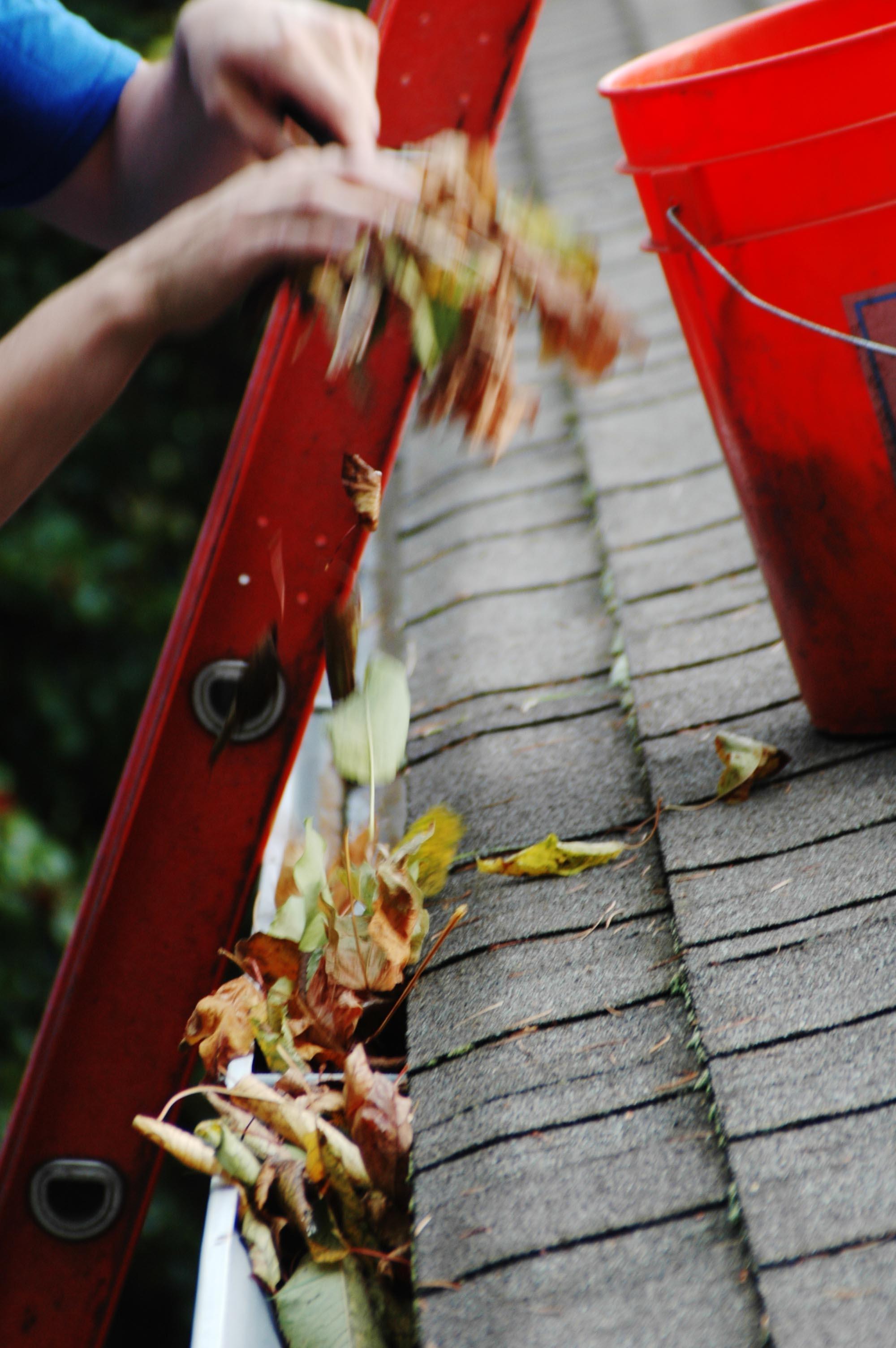 Gutter Cleaning Portland, Vancouver, Salem