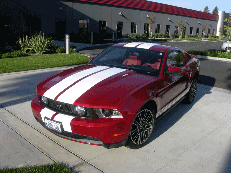 Mustang rally stripes