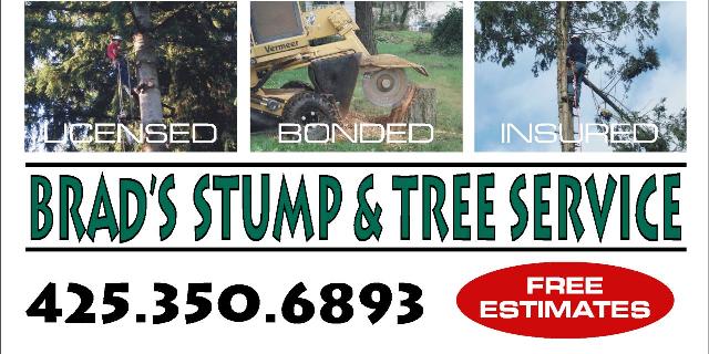 Brad's Stump and Tree Service Arlington, Washington