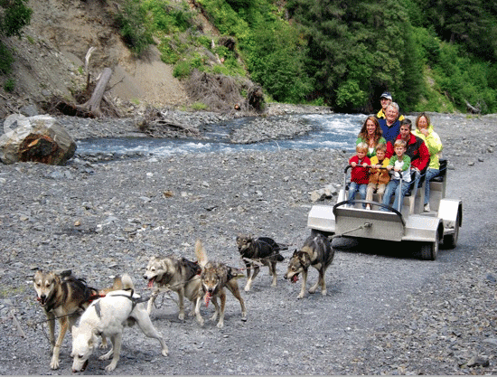 Seavey's Ididaride Sled Dog Tours - Summer Tour