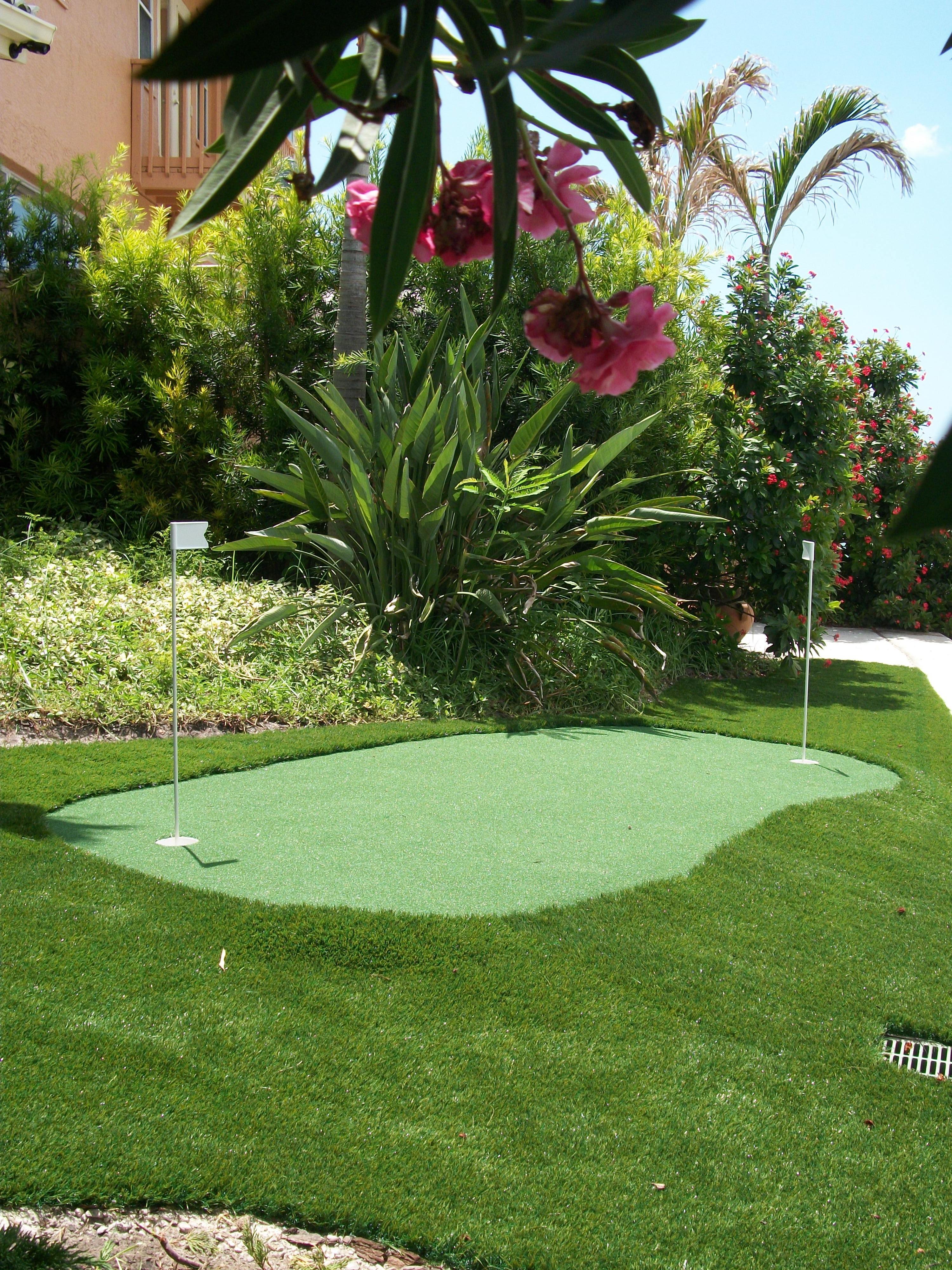 Redue your backyard with grass & green