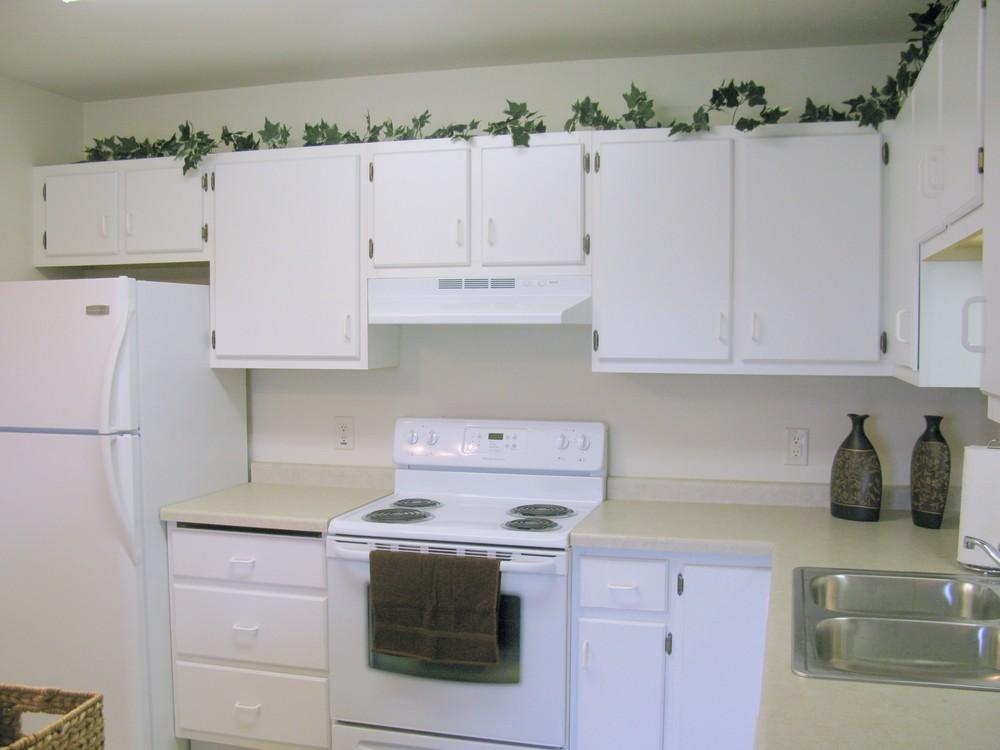 Timber Ridge Apt - Kitchen