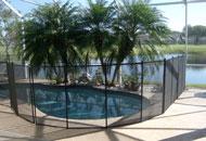 Baby Guard Pool Fences