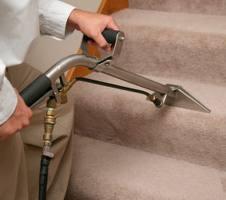 Carpet Cleaning