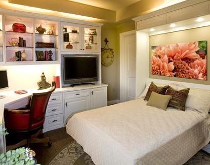 Alpha Closets and Murphy Beds