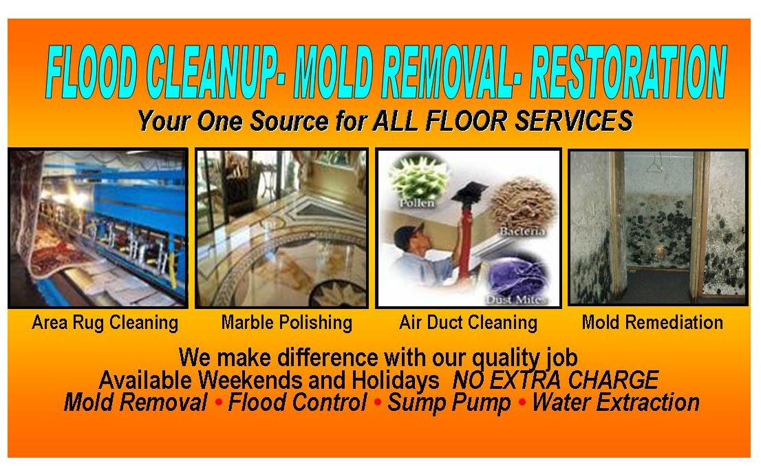 Tanin Water Damage Palatine