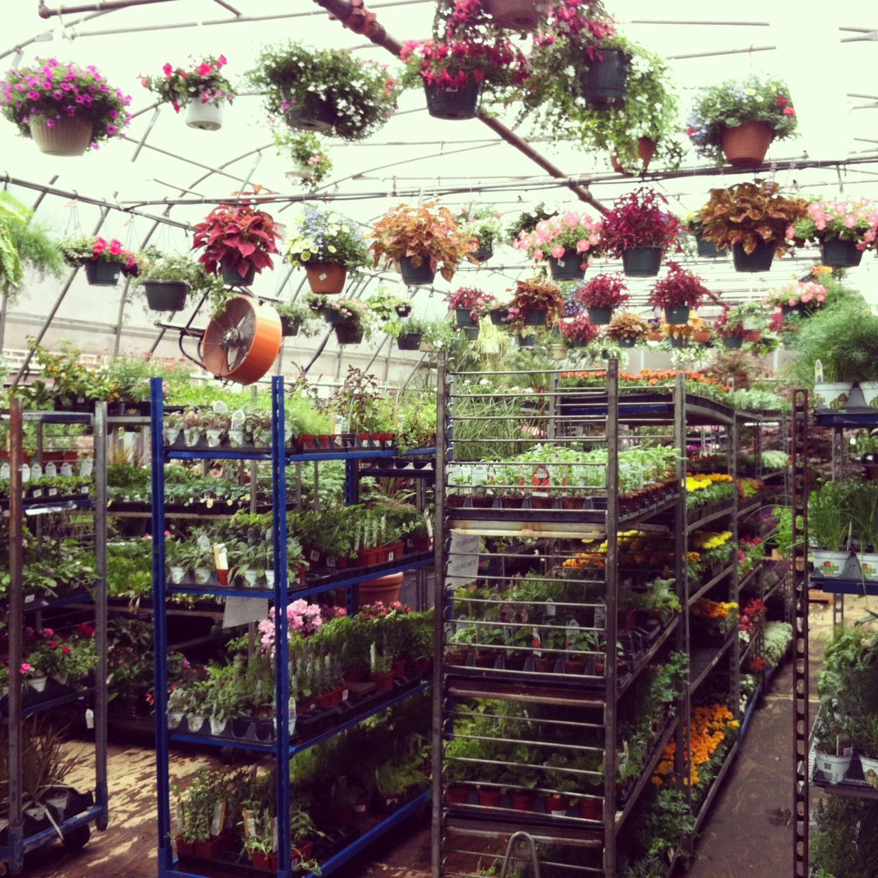 Largest Garden Center in Manhattan!