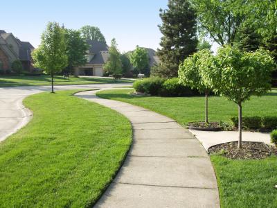 Commercial landscape, Residencial landscape, sod