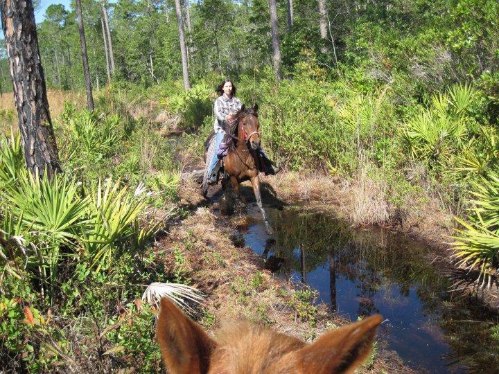 Guided Trail Rides