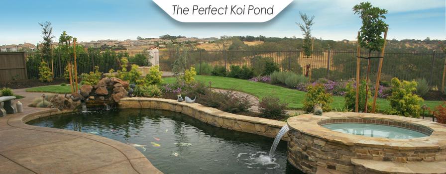 The Perfect Koi Pond