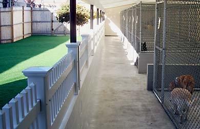 Outdoor Kennel