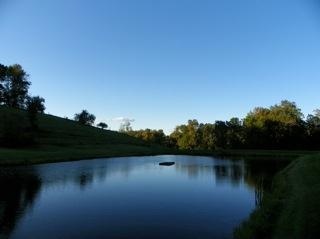 The Quiet Pond...