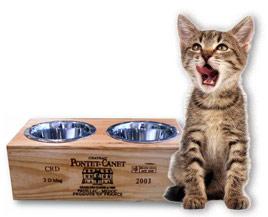 Double bowl Cat Feeder