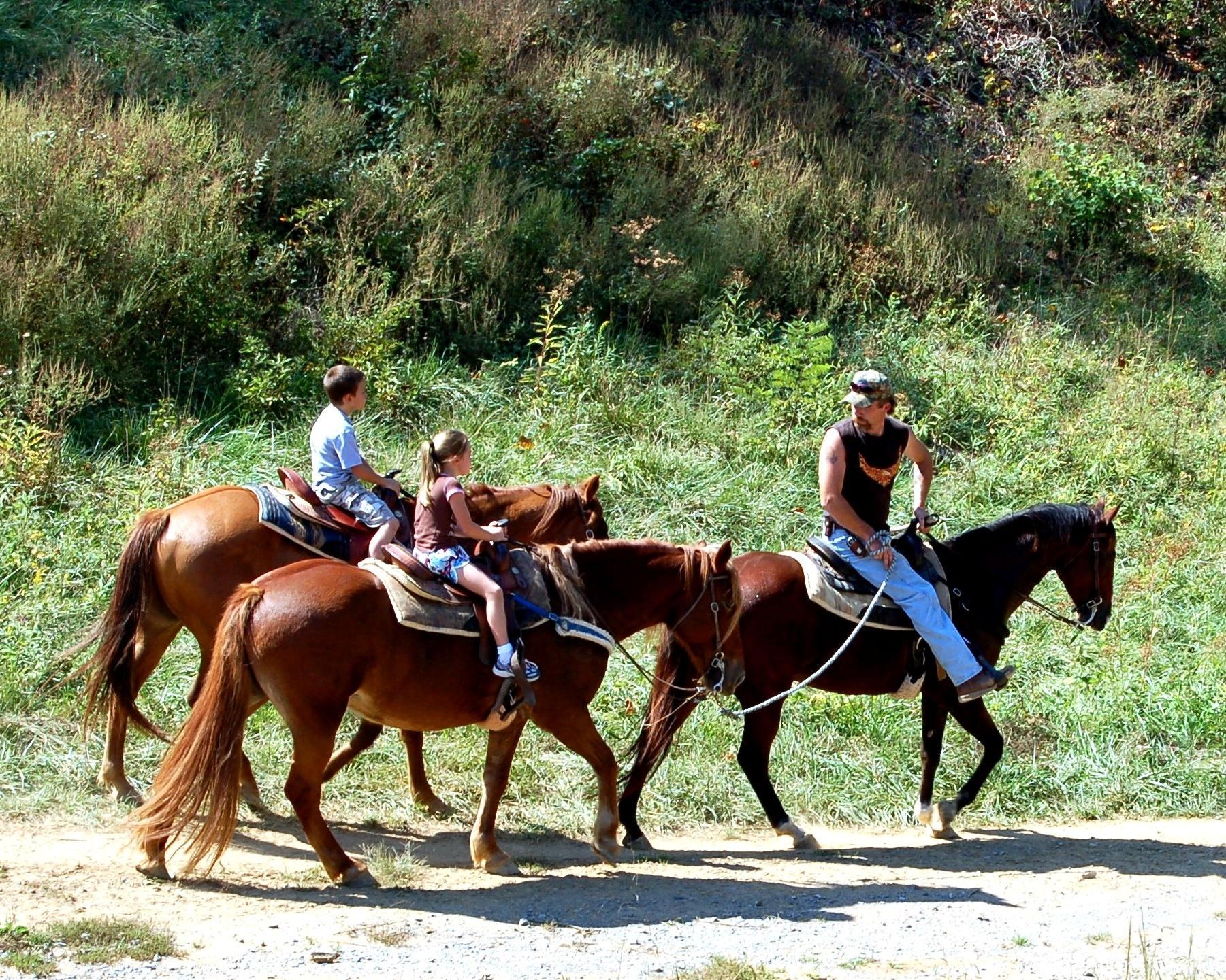 Deer Farm Riding Stables