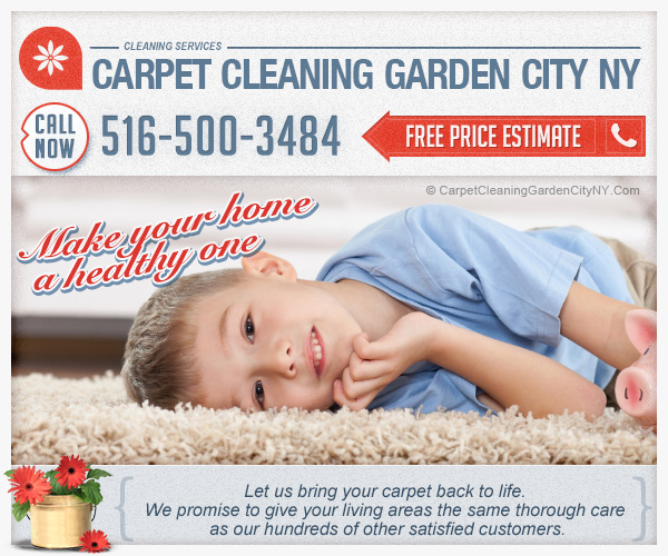 Hippo Carpet Cleaning Garden City