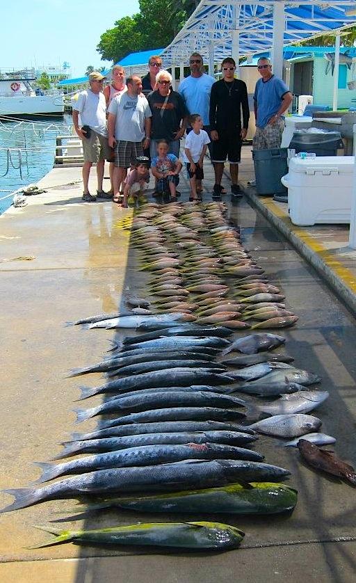 Yellowtail Snapper, Mahi - fish crush on Bahamas Charter