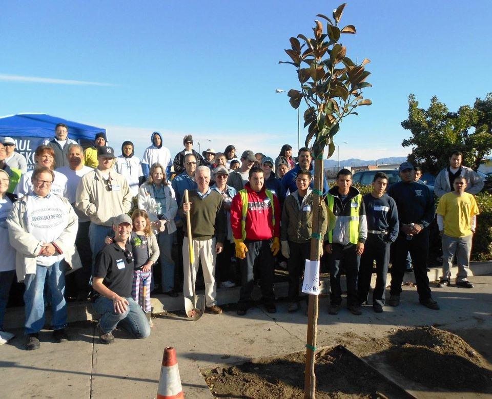 NoHo West NC Clean up