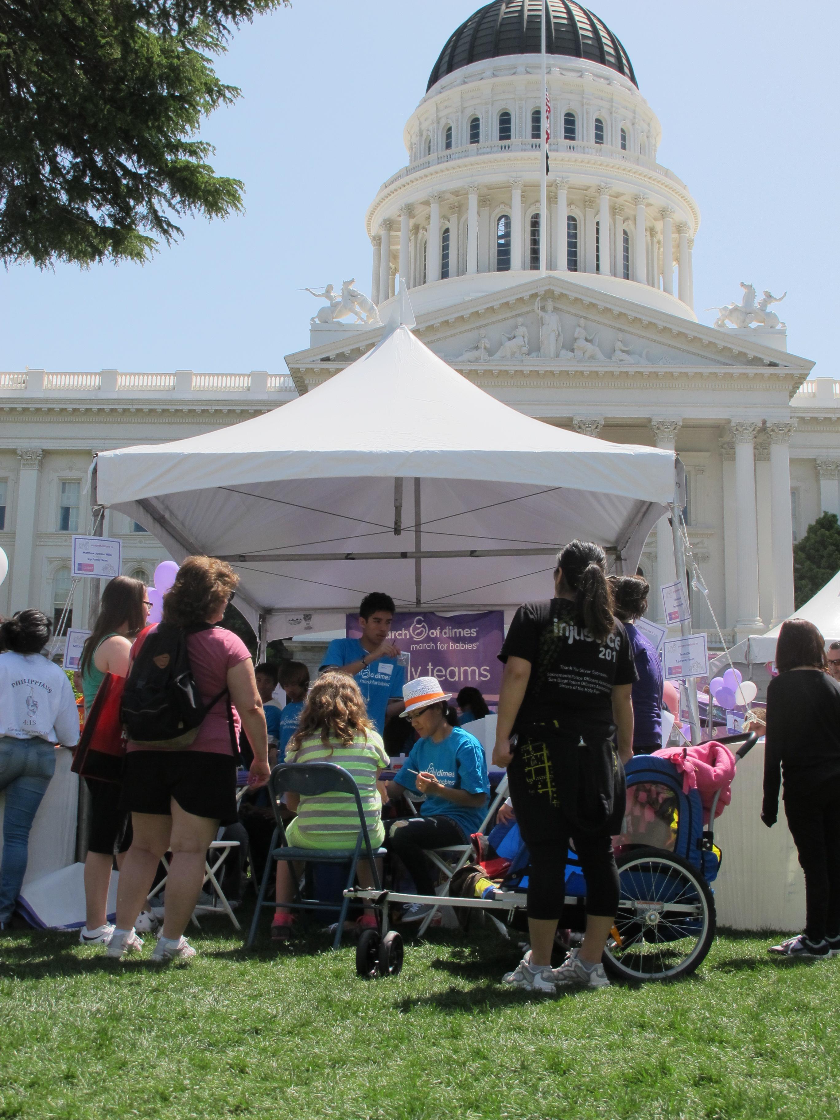 Face Painting at the California State Capitol - Happyface Magic Face Painting, Sacramento