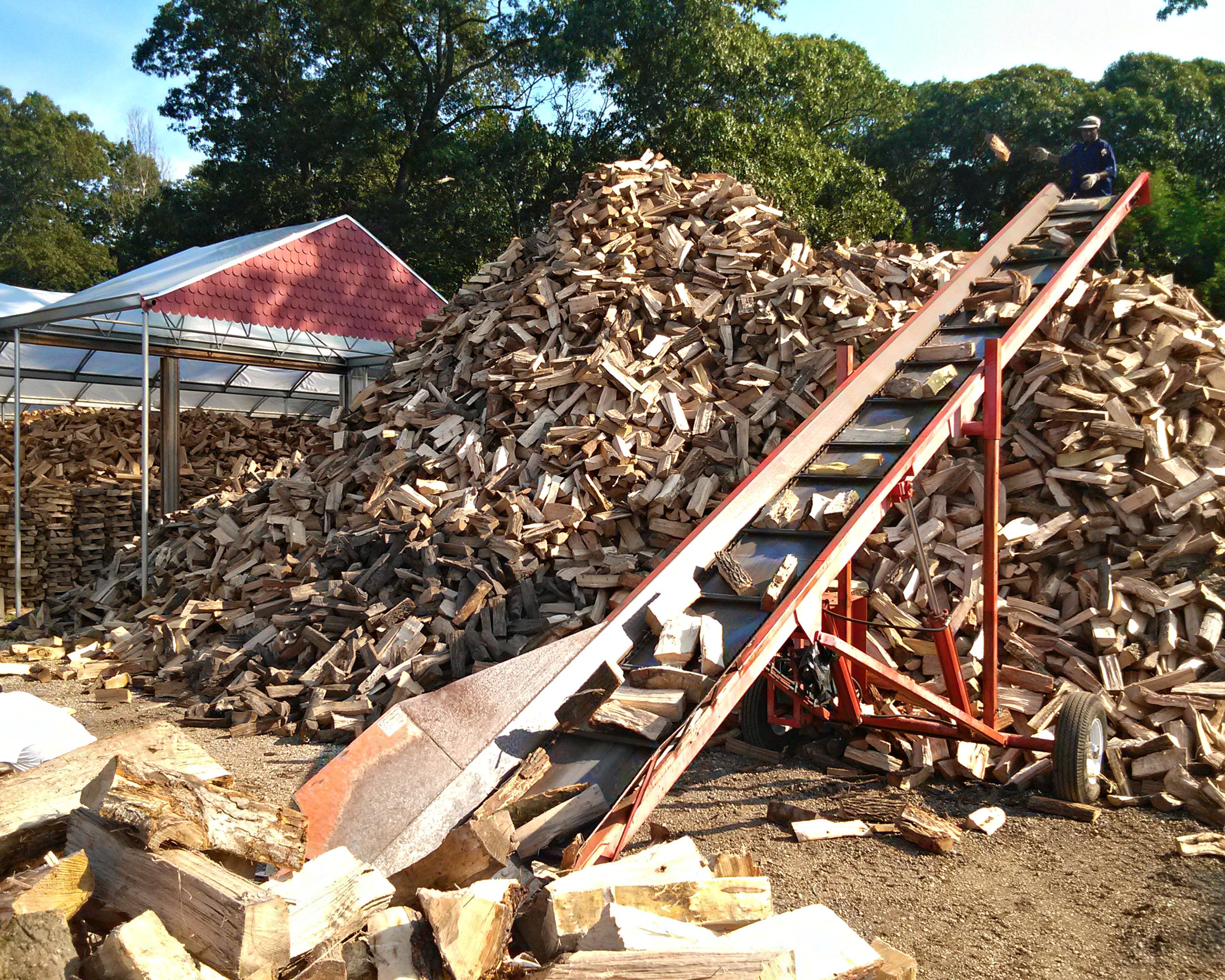 Firewood Sorting - Fall 2012