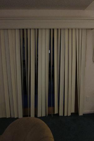 vertical blind