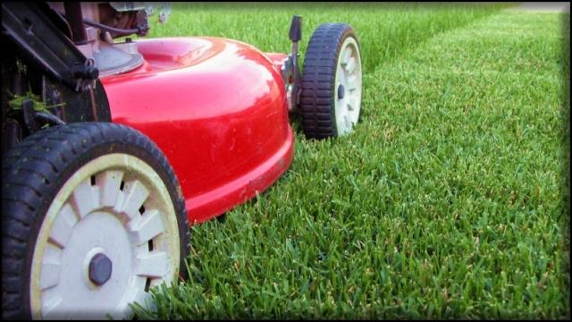 Lawn Care Service Savannah GA