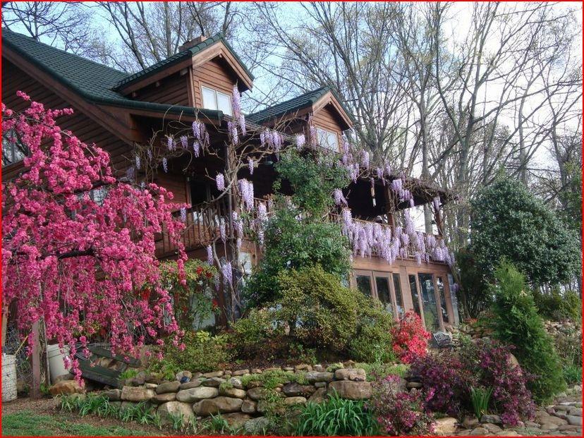 Cozy Log Home